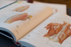 Ganz wichtig: Fachliteratur!